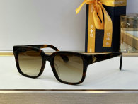 LV Sunglasses AAA (536)