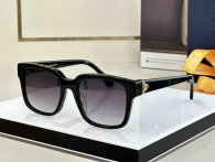 LV Sunglasses AAA (525)