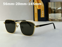 LV Sunglasses AAA (311)