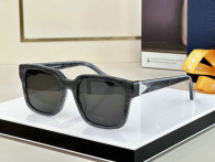 LV Sunglasses AAA (452)