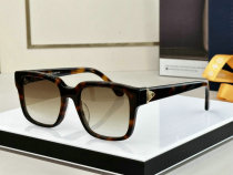 LV Sunglasses AAA (310)