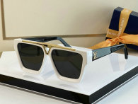 LV Sunglasses AAA (523)