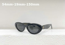 LV Sunglasses AAA (464)