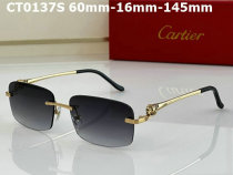 Cartier Sunglasses AAA (356)