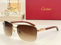 Cartier Sunglasses AAA (671)