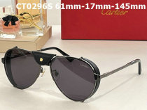 Cartier Sunglasses AAA (78)