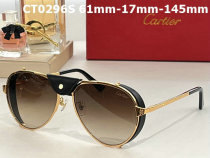 Cartier Sunglasses AAA (412)