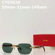 Cartier Plain glasses AAA (76)