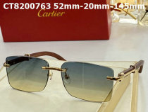 Cartier Sunglasses AAA (268)