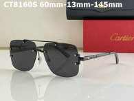 Cartier Sunglasses AAA (663)