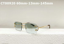 Cartier Sunglasses AAA (154)