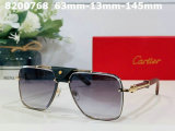 Cartier Sunglasses AAA (402)