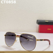 Cartier Sunglasses AAA (592)