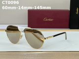 Cartier Sunglasses AAA (43)