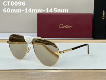 Cartier Sunglasses AAA (43)