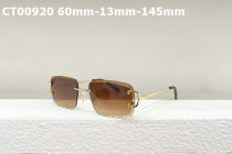 Cartier Sunglasses AAA (558)