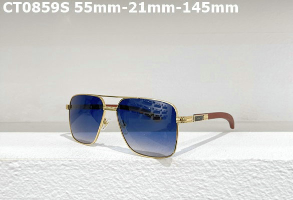 Cartier Sunglasses AAA (207)