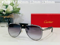 Cartier Sunglasses AAA (247)