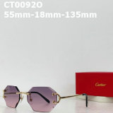 Cartier Sunglasses AAA (171)