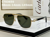 Cartier Sunglasses AAA (253)