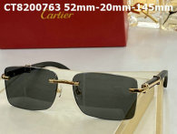 Cartier Sunglasses AAA (777)