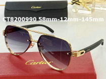 Cartier Sunglasses AAA (575)