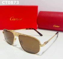 Cartier Sunglasses AAA (166)