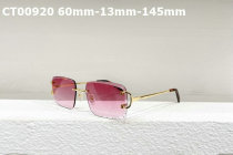 Cartier Sunglasses AAA (62)