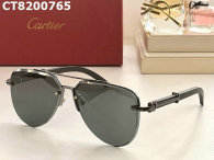 Cartier Sunglasses AAA (669)
