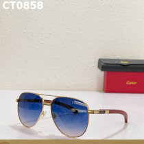 Cartier Sunglasses AAA (480)