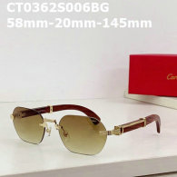 Cartier Sunglasses AAA (725)