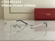 Cartier Plain glasses AAA (119)