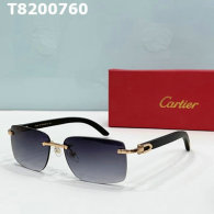 Cartier Sunglasses AAA (738)