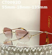 Cartier Sunglasses AAA (757)