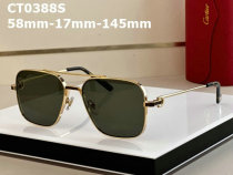 Cartier Sunglasses AAA (214)