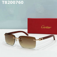 Cartier Sunglasses AAA (729)