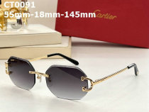 Cartier Sunglasses AAA (355)