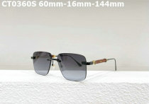 Cartier Sunglasses AAA (584)