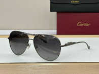Cartier Sunglasses AAA (731)