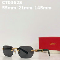 Cartier Plain glasses AAA (81)