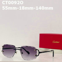 Cartier Sunglasses AAA (110)