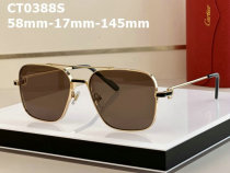 Cartier Sunglasses AAA (95)