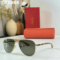 Cartier Sunglasses AAA (720)
