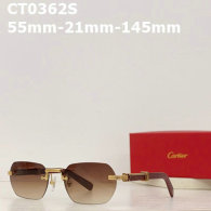 Cartier Plain glasses AAA (34)