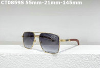 Cartier Sunglasses AAA (682)