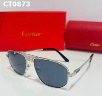 Cartier Sunglasses AAA (53)