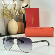 Cartier Sunglasses AAA (118)