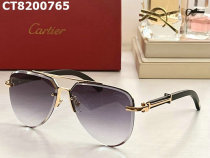Cartier Sunglasses AAA (283)