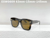 Cartier Sunglasses AAA (437)