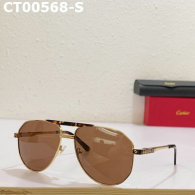 Cartier Sunglasses AAA (678)
